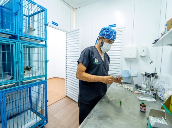 Camaçari amplia castração gratuita de cães e gatos com lançamento do Castramóvel