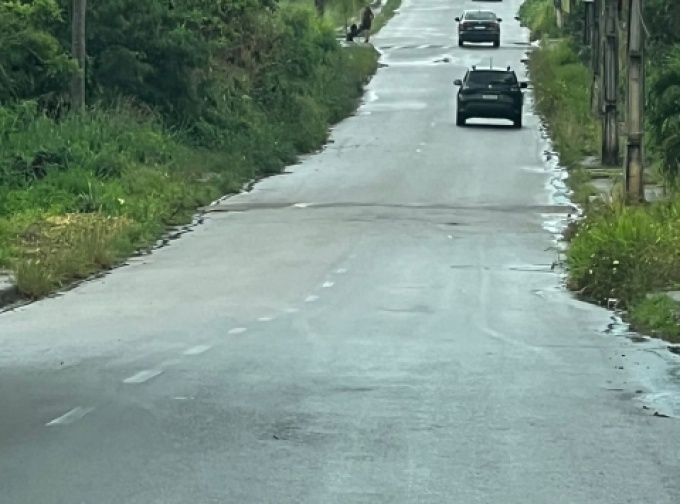 Moradores de Las Palmas cobram roçagem, limpeza e poda de árvores