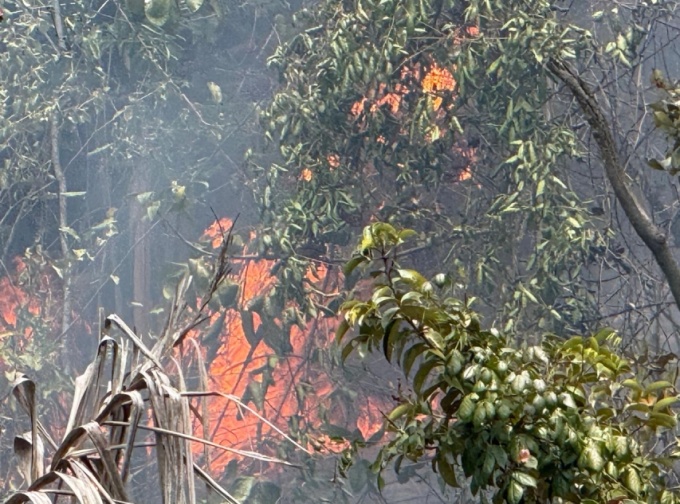 Incêndio atinge vegetação nas dunas da Fonte da Caixa, em Vila de Abrantes