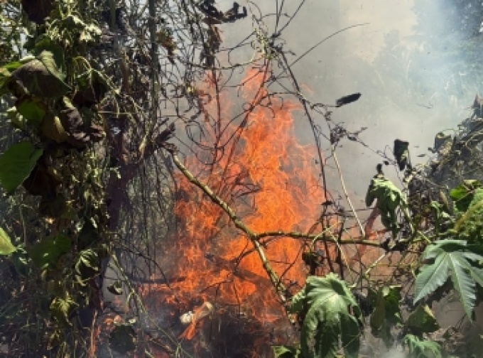 Equipe do Portal Abrantes é acionada para registrar incêndio e ajuda a combater chamas em frente a escola