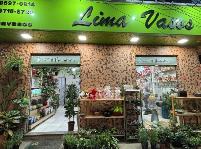 Lima Vasos: uma história de amor, perseverança e sonhos que florescem em Vila de Abrantes