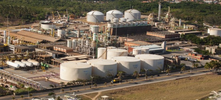 Planta Maceió