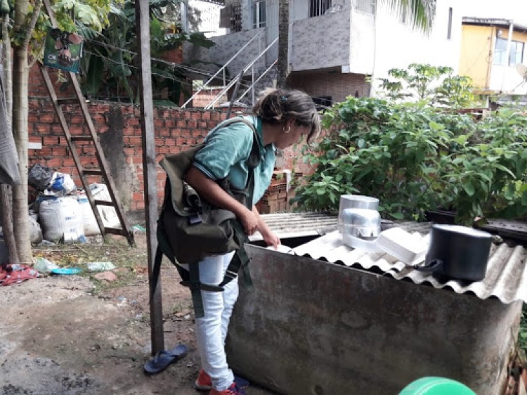 Foto: Arquivo
